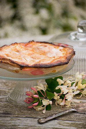 Rhubarb food;rhubarb pie