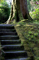 Dereen Garden, Ire