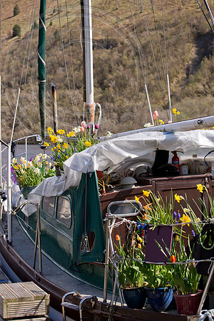 BOAT BULB GARDEN