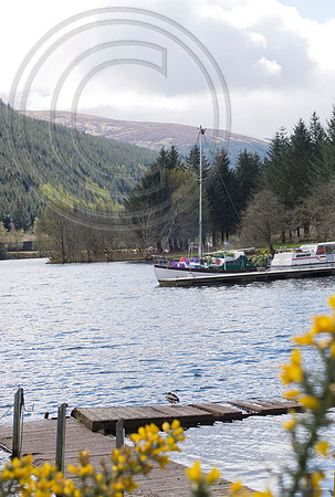BOAT BULB GARDEN
