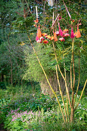 HUNTINGBROOK JIMI BLAKE; woodland gardens ; Multi stem Mahonia Charity Chusquea sp.,