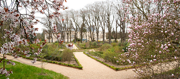 Rose garden at Chateau de Malmaison