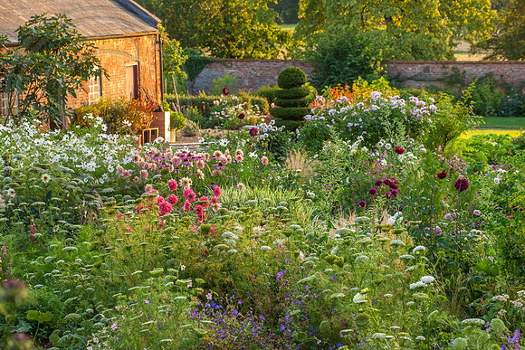76658
