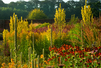 HELMSLEY WALLED GARDEN, YORKSHIRE