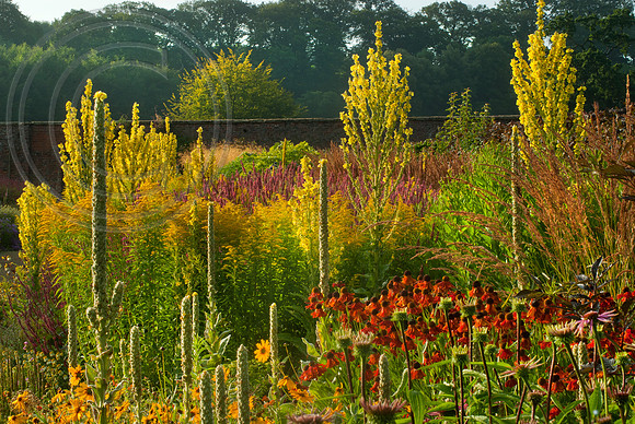 HELMSLEY WALLED GARDEN, YORKSHIRE