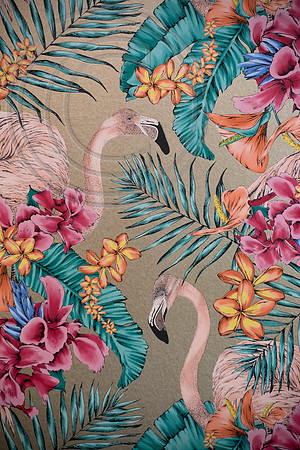 FLAMINGO CLUB WALLPAPER