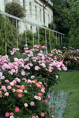ISOLA DEL GARDA;PHOTOGRAPHS JACKY HOBBS