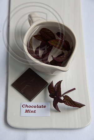 CHOCLATE MINT