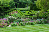 ASTHALL MANOR, OXFORDSHIRE: PARTERRE ON SLOPE PLANTED WITH ALLIUMS AND ANNUALS IN SUMMER