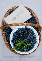 SLOE BASKET