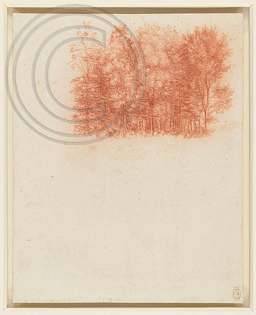 Copse of trees. Leonardo da Vinci
