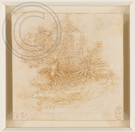 trees; Leonardo da Vinci