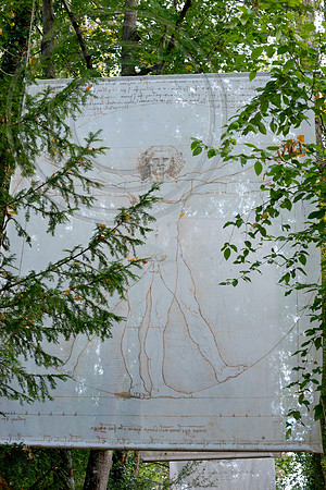 Vetruvian Man ; Leonardo da Vinci