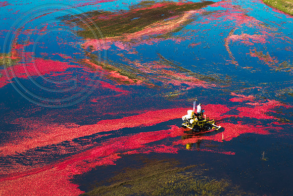 Cranberry World
