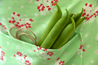 BEAN MOONLIGHT
