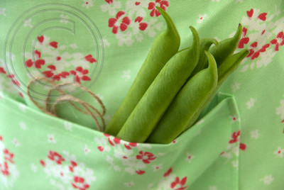 BEAN MOONLIGHT