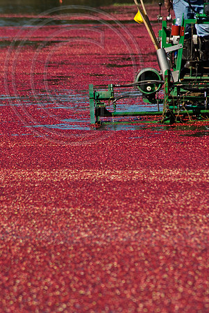 Wet harvest