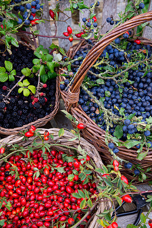 HEDGEROW HARVEST;SLOES, ROSEHIPS,BLACKBERRIES