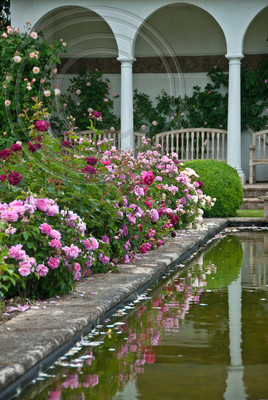 DAVID ASUTIN NURSERY SHOW GARDEN
