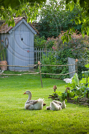 59688