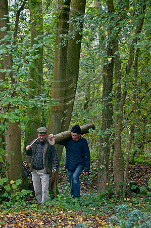felling logs for chair making