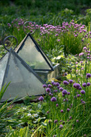 BALLYMALOE KITCHEN GARDEN