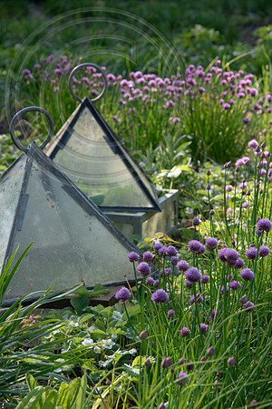 BALLYMALOE KITCHEN GARDEN