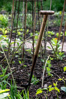 BALLYMALOE KITCHEN GARDEN