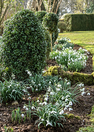 Upton Wold garden