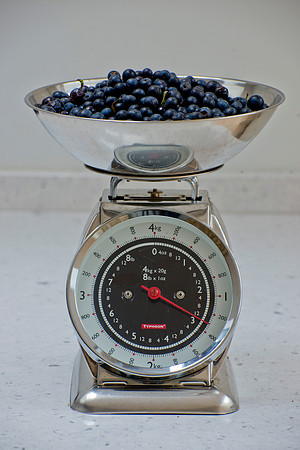 WEIGHING SLOES