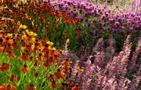 HELMSLEY WALLED GARDEN, YORKSHIRE