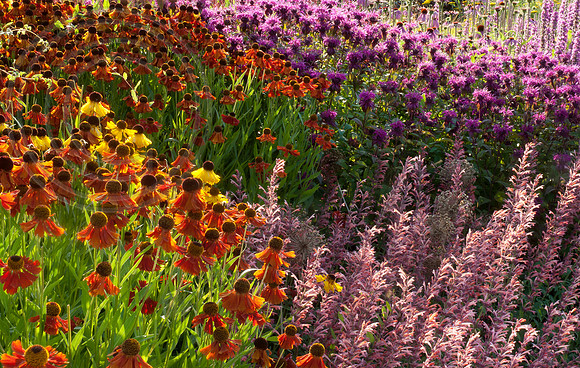 HELMSLEY WALLED GARDEN, YORKSHIRE