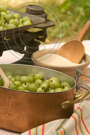GOOSEBERRY AND ELDERFLOWER