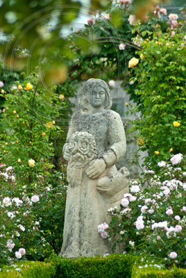 STATUE OF ROSAMUND IN DAAVID ASUISTIN ROSES SHOW GARDEN