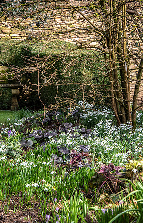 Upton Wold garden