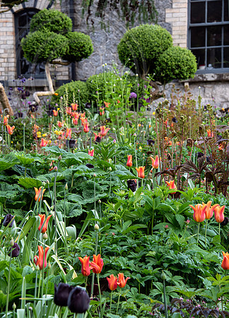 JUNE BLAKES GARDEN