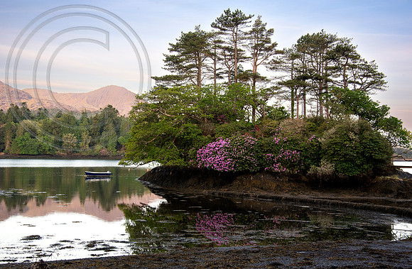 Derreen Garden