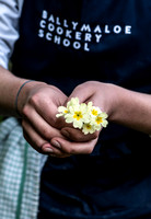 BALLYMALOE  ORGANIC GARDEN AND COOKERY SCHOOL .