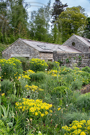 JUNE BLAKES GARDEN