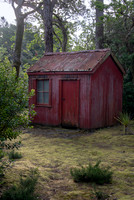 Derreen Garden