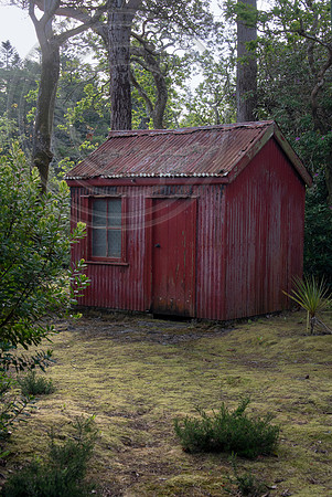 Derreen Garden