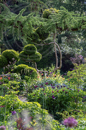 JUNE BLAKES GARDEN