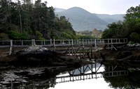 Dereen Garden, Ire