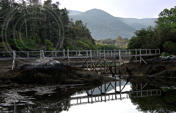 Dereen Garden, Ire