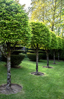 RORY'S GARDEN