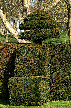 Upton Wold garden
