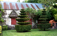 RORY'S GARDEN