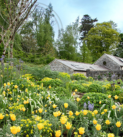JUNE BLAKES GARDEN