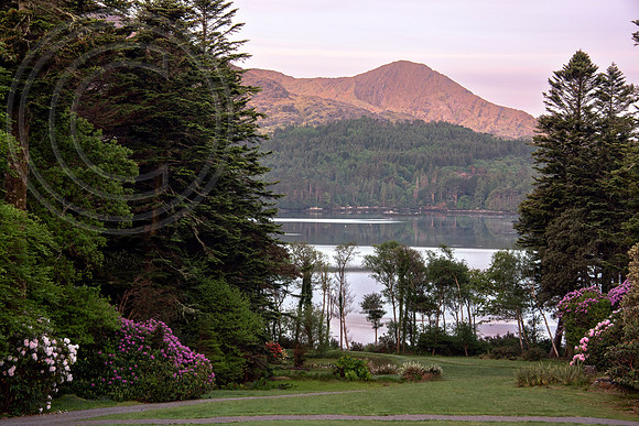 Derreen Garden