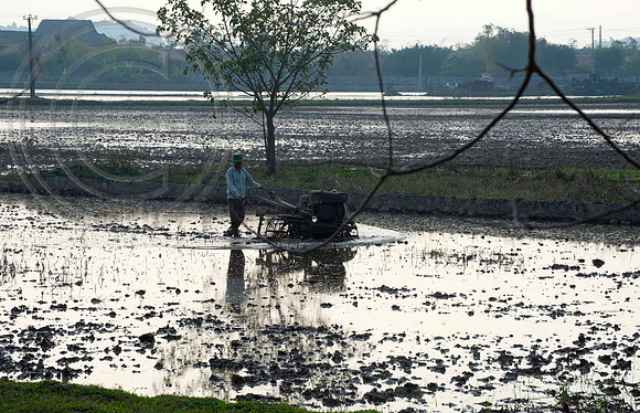 PREPARING PADDY FIELDS FOR PLANTING